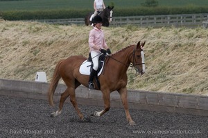 ISIS Dressage Challenge 2008